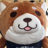 Profilbild von たたきさん