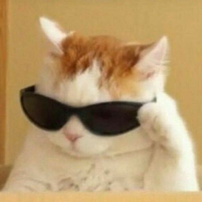 AugustIsRed's profile picture