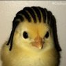 Profilbild von Renowned🧖