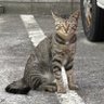 カフェイン男's profile picture