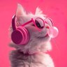 Profilbild von Skii