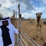 غيث الشحي 的头像