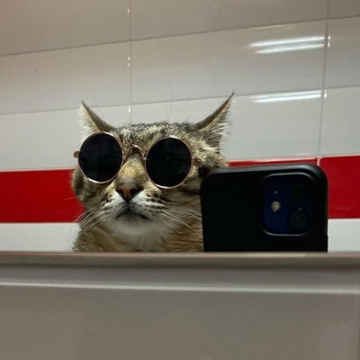 Fangkuai_S's profile picture