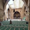 Фото профиля waleed7zem