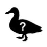 アヒックス's profile picture