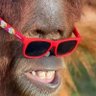 MasMadsun Uan profil fotoğrafı