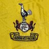 Profilbild von Spurs Infliction