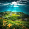 林明騏 profil fotoğrafı