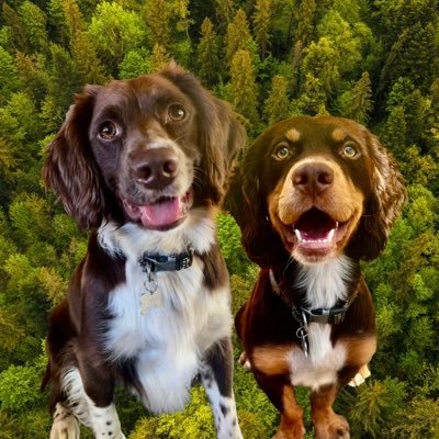 Vinnie & Toby❤️ Jasper🌈 Hartson🌈's profile picture