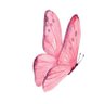 🦋 𝓑𝓾𝓽𝓽𝓮𝓻𝓯𝓵𝔂 🦋 的头像