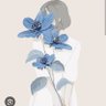 Фото профиля Mirriam