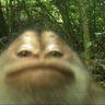 Volkreg profil fotoğrafı