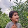 محمدافغان's profile picture