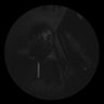 Olafrika ๐ฐ's profile picture