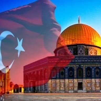 Türkiye Kudüs Gönüllüleri's profile picture