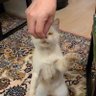 heme profil fotoğrafı