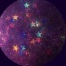 Vee's profile picture