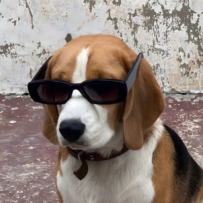 Stephenqvq's profile picture