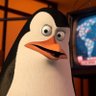 Kowalski profil fotoğrafı