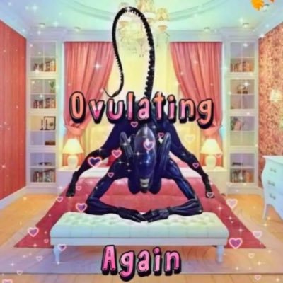 Le_mone_naed's profile picture