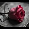 Ayn'ür Rıza's profile picture