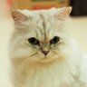 Фото профиля LilyWen0910