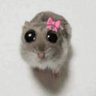 aviv liba's profile picture
