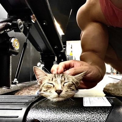 xiajibaww's profile picture