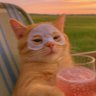 Buddha's profile picture