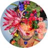 Profilbild von Ajay Aravind