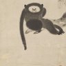Monkey-Monk profil fotoğrafı