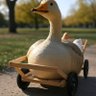 Profilbild von plastic goose cart