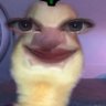 JIYA's profile picture