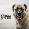 Фото профиля kiringu Kangal
