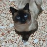YaNoAguanto+ profil fotoğrafı