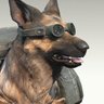 のた's profile picture
