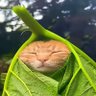 Humfrey applby's profile picture