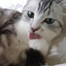 ๋ถ๋'s profile picture