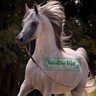 Фото профиля 👵 بعثرهـ 🐎