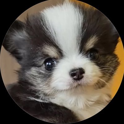 もちょちょ愛してる。's profile picture