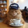 Фото профиля MAX engineering Fella