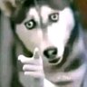 Izan twiter's profile picture