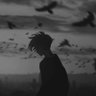 Harry's profile picture