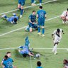 C.saz_ 24 的头像