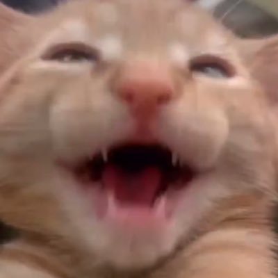 alranican's profile picture