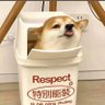 年糕's profile picture