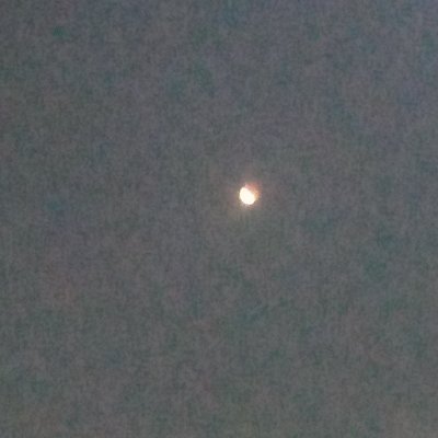 StonRamy75682's profile picture