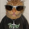 i's profile picture