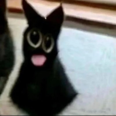 aerin's profile picture