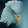 Фото профиля EagleX 🦅